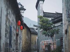 -仙霞关景区