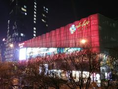 -远洋未来汇