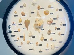 -海合安青岛极地海洋公园