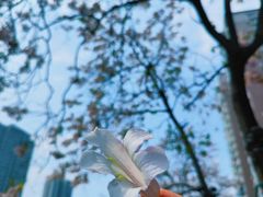 -成都市活水公园