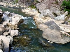 -泽雅景区