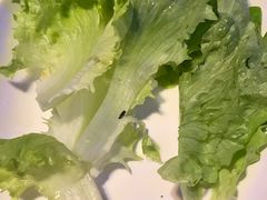 -傣妹火锅(全椒奥康步行街店)