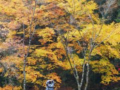 -光雾山旅游景区