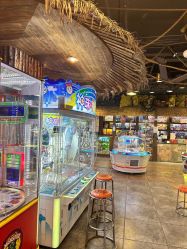 -卡通尼·Safari非洲探索乐园·生日会(金桥国际商业广场店)