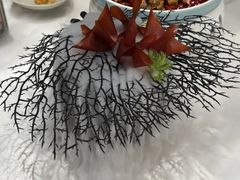 -迦南苑·新派青岛菜·生日纪念日主题餐厅