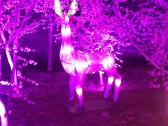 -宝泉胜境旅游度假区