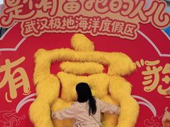-海合安武汉极地海洋公园