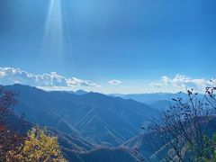 -朱雀国家森林公园