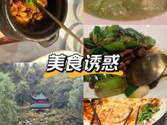 -坛宗剁椒鱼头(河西王府井店)