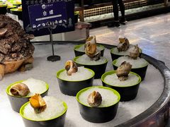 -上隐水产海鲜刺身自助餐(淮海百盛店)