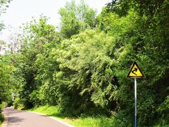 -大蜀山国家森林公园