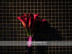 -上海明天广场JW万豪酒店