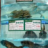 老坛泡椒鱼火锅🐟来成都我请你吃～