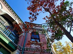 -北京动物园-畅观楼