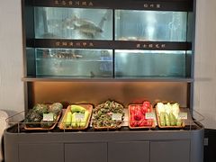 -阿五黄河大鲤鱼(英协路店)