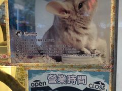 -龙猫仔乐园(惠福东路店)