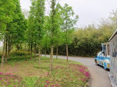 -泗洪洪泽湖湿地景区