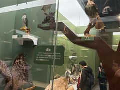 -国家自然博物馆