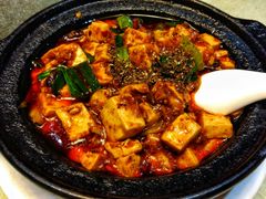 -陈麻婆豆腐总店