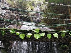 -藏龙百瀑风景区