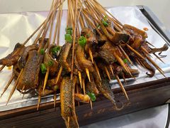 鳝鱼-晓靖轩烧烤(沙河风情店)