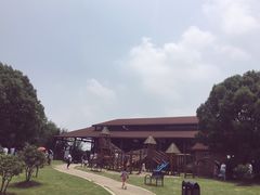 -荷塘月色湿地公园·向阳花洲