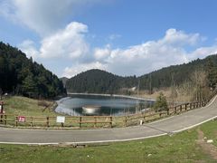 -武陵山森林公园