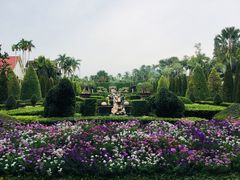 -东芭乐园