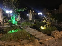 -花溪雨·森林餐厅(石基店)