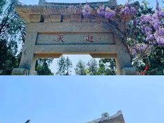 -泰山风景名胜区