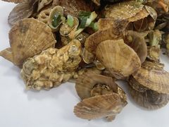 -1910老鲁味海鲜·戳子肉·青岛菜(金沙滩店)