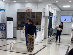 -派美特宠物医院·核磁CT·骨科肿瘤·疑难转诊(沈农禾丰店)