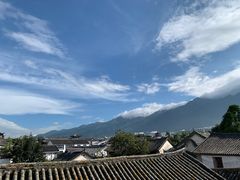 -喵屿·大理花园猫咖