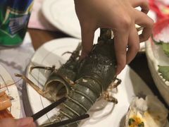 小青龙-大渔铁板烧(中山路八佰伴店)