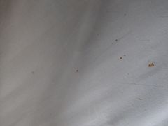 -三亚亚龙湾雅高美爵酒店
