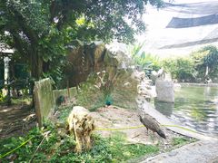 -吉隆坡雀鸟公园