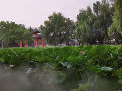 -四川大学(望江校区)