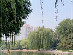 -团结湖公园