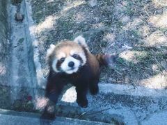 -东部华侨城