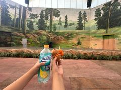 -美的鹭湖探索王国