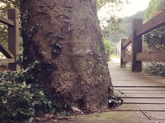 -普陀山风景名胜区-法雨禅寺