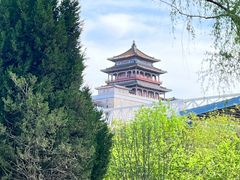 -莲花池公园