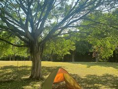 -福建鲤鱼洲酒店