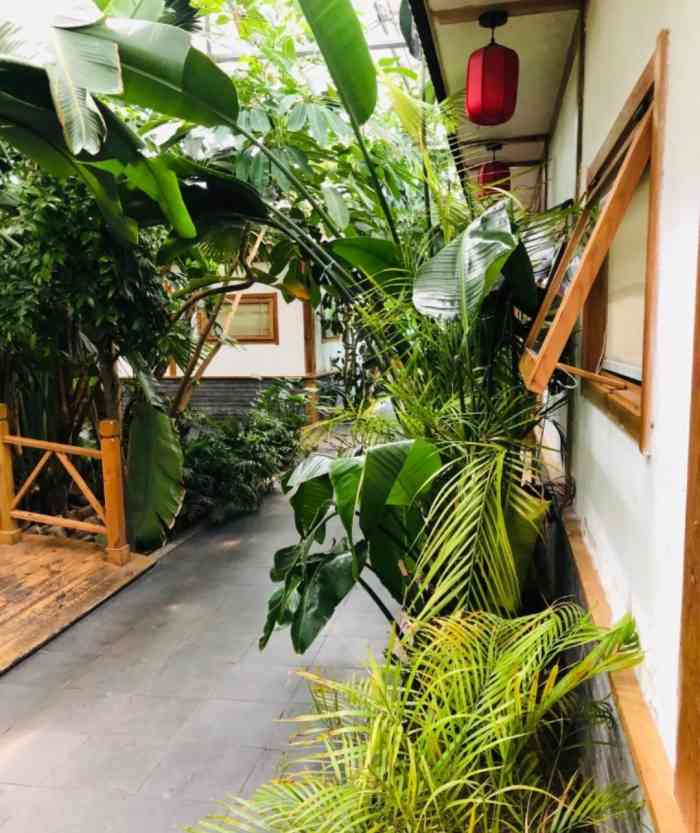 世园智谷生态酒店(九水路店)-"来过好几次了,环境不错,里面植物很多