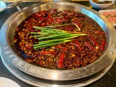-一斗火锅·招财羊毛肚(北温泉九号店)