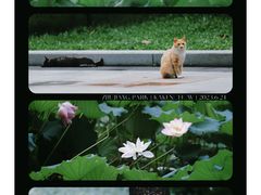 -广州珠江公园