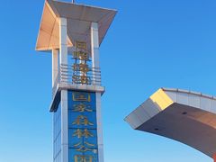 -日照海滨国家森林公园