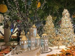 -拉斯维加斯永利酒店