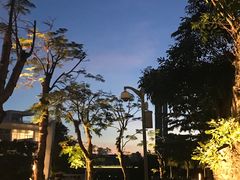 -深圳湾公园(南山区)
