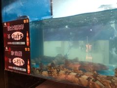 -至尊鲨鱼·原烹海鲜·新浙菜(拱宸桥店)
